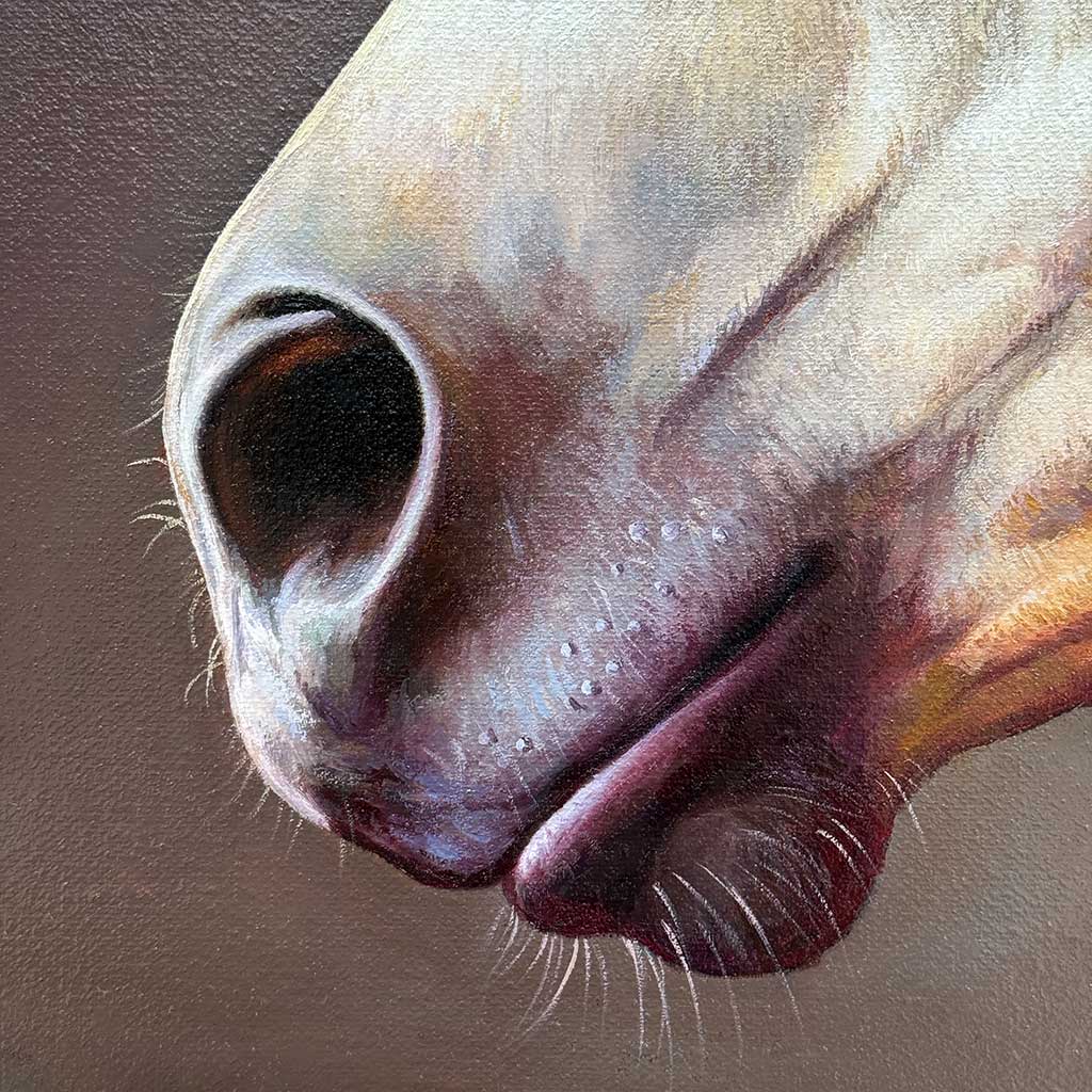 Гром — изображение 4