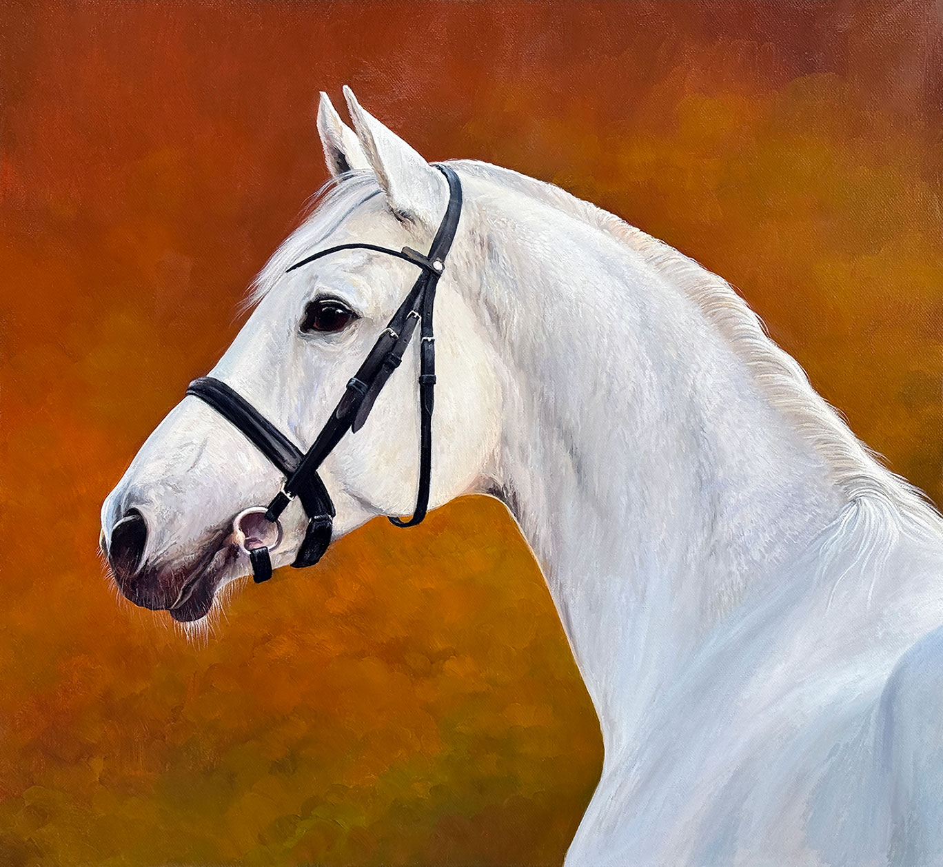 Портрет белой красавицы