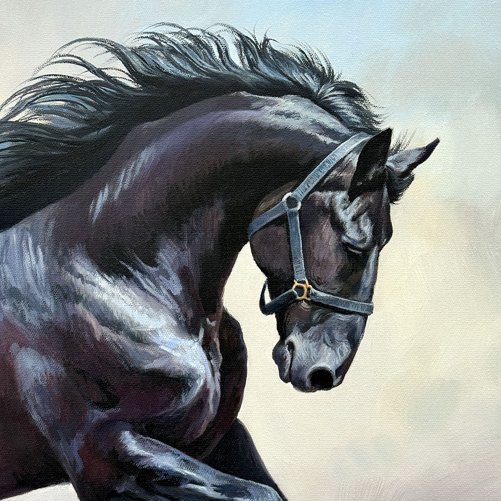 Вороной скакун — изображение 2