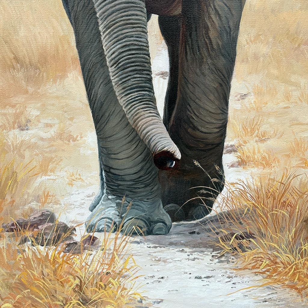 Владыка саванны — изображение 3