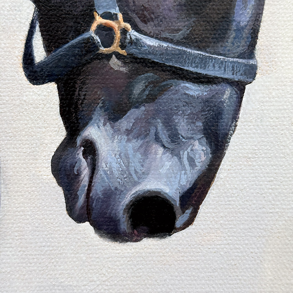 Вороной скакун — изображение 3