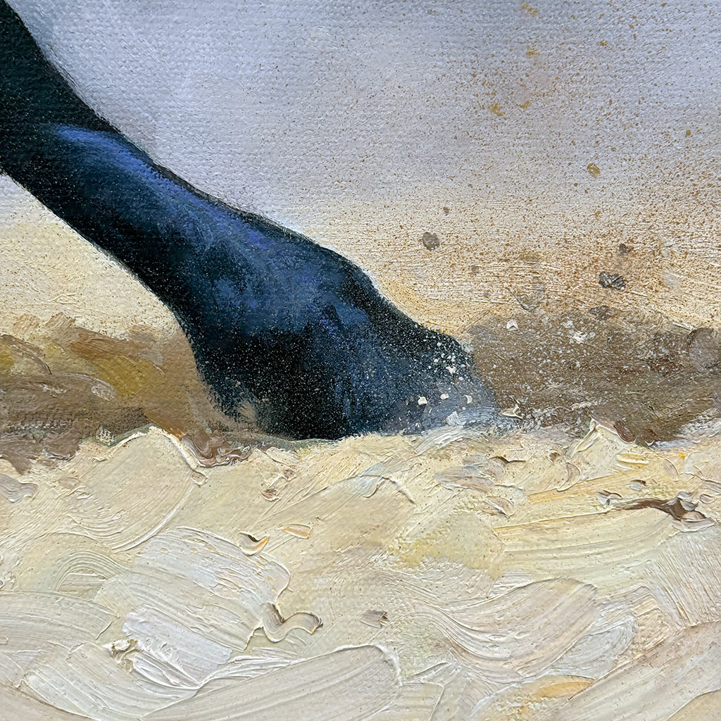 Вороной скакун — изображение 4